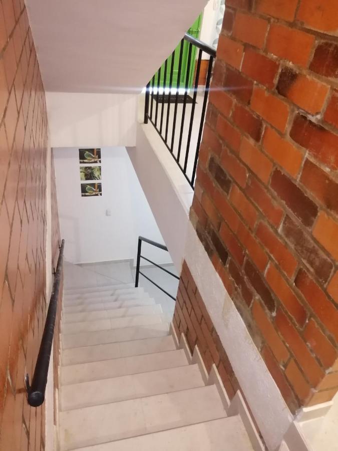 Ferienwohnung Coffee Flores Gabriel Salento Exterior foto